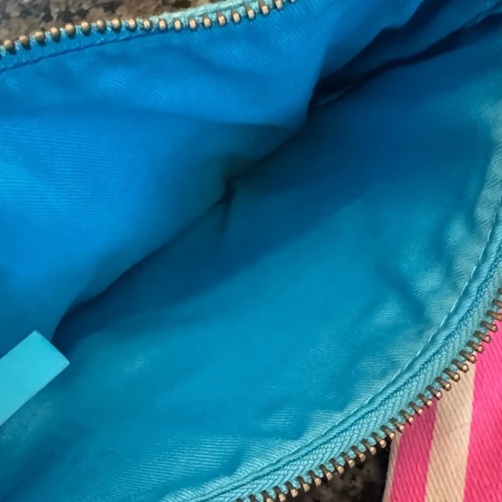 Victoria's Secret Pink and Blue Striped sequins Pouches